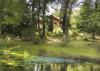 Conifer Lodges