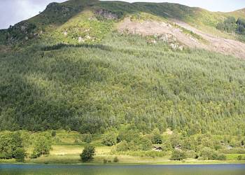 Strathyre Forest