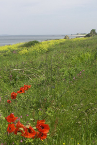Killegruer Caravan Site  