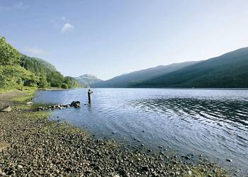 Strathyre Forest